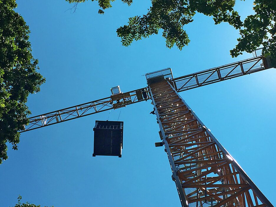 Das Bild zeigt den Blick von unten in die Höhe auf einen Kran. Am Haken des Krans hängt eine überdachte, quadratische Plattform. An den Rändern des Bildes sind Äste von Bäumen zu sehen. Link zur vergrößerten Darstellung des Bildes.